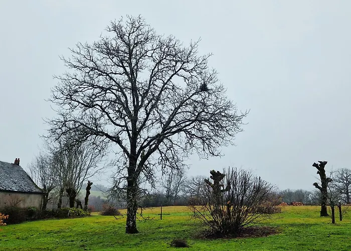 度假居 De Saint-juery Saint-Amans-des-Cots
